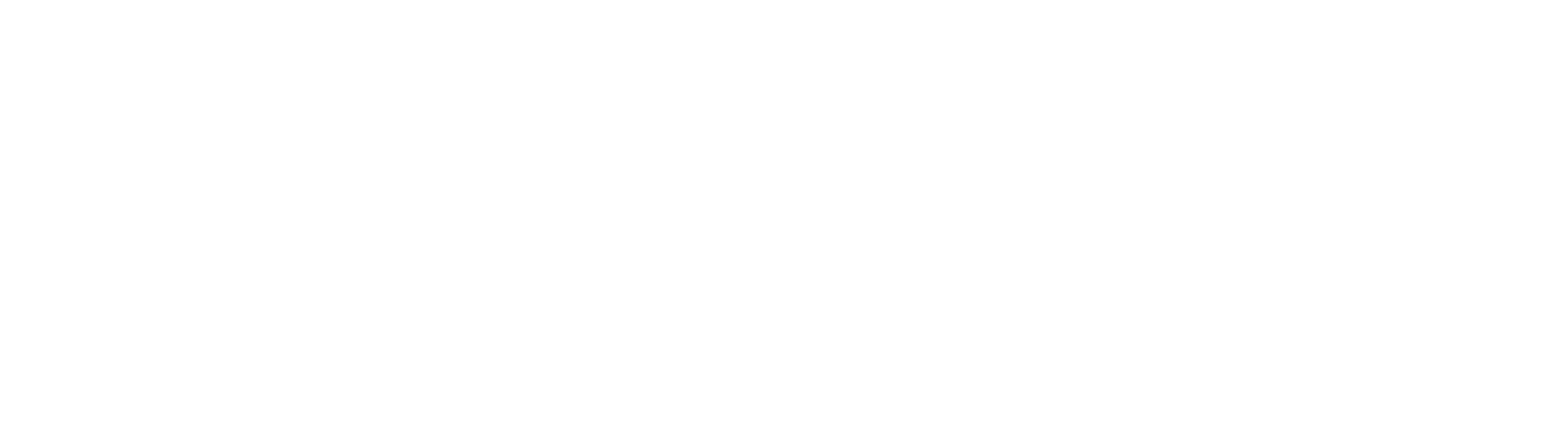 GAUDIO LKV